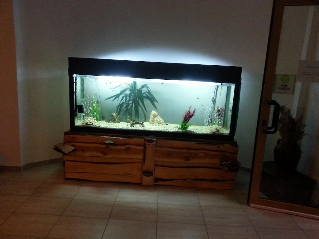 פרדיאל Cabana Trei Brazi מראה חיצוני תמונה